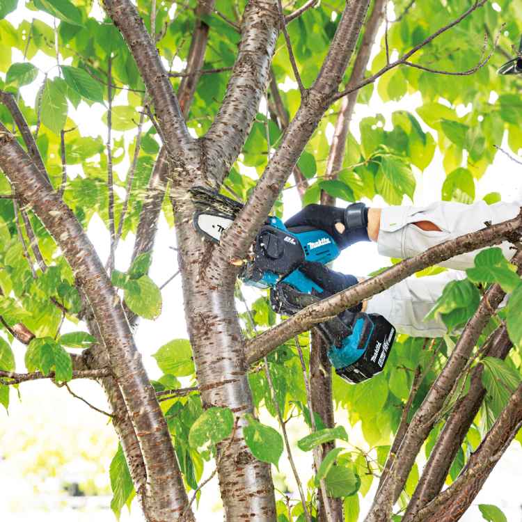 Makita DUC101Z Akku Kettensäge, 18 Volt, Solomaschine, leichte kompakte Astsäge inklusive Rundfeile zum Nachschärfen und Kettenöl